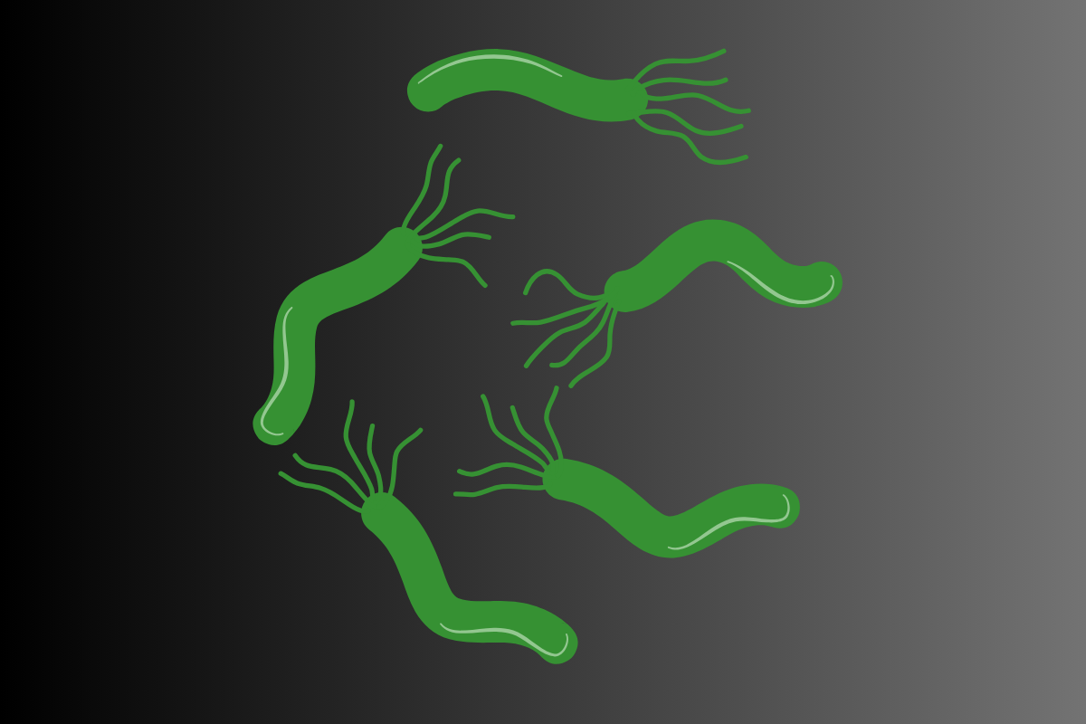 H. Pylori
